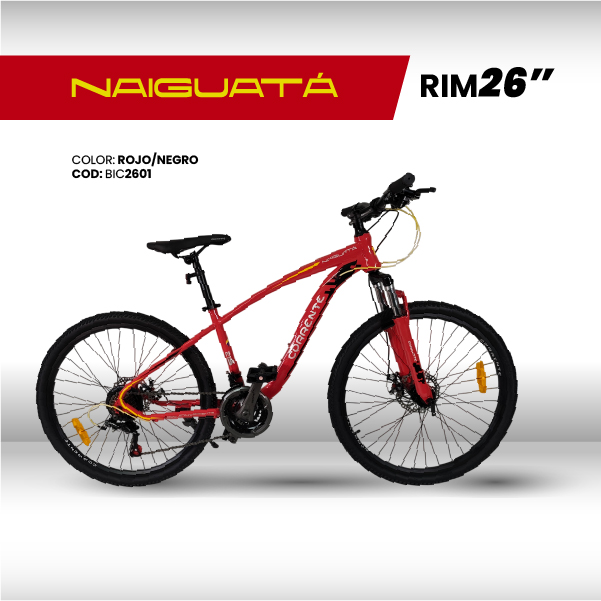 CATÁLOGO PÁGINA WEB-21