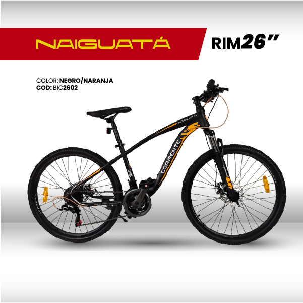 CATÁLOGO PÁGINA WEB-22