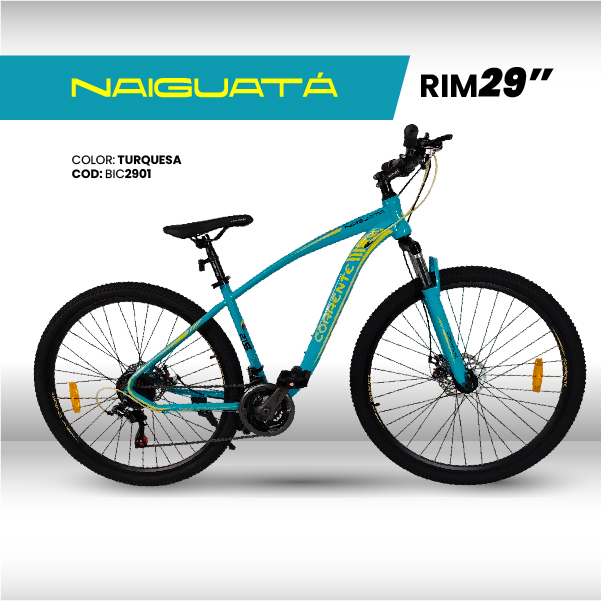 CATÁLOGO PÁGINA WEB-24